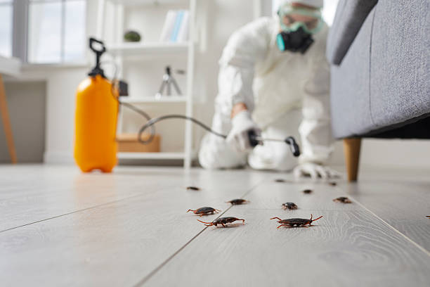 Commercial Kitchen Cockroach Control in Lyman